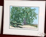 Bagi László előadása 